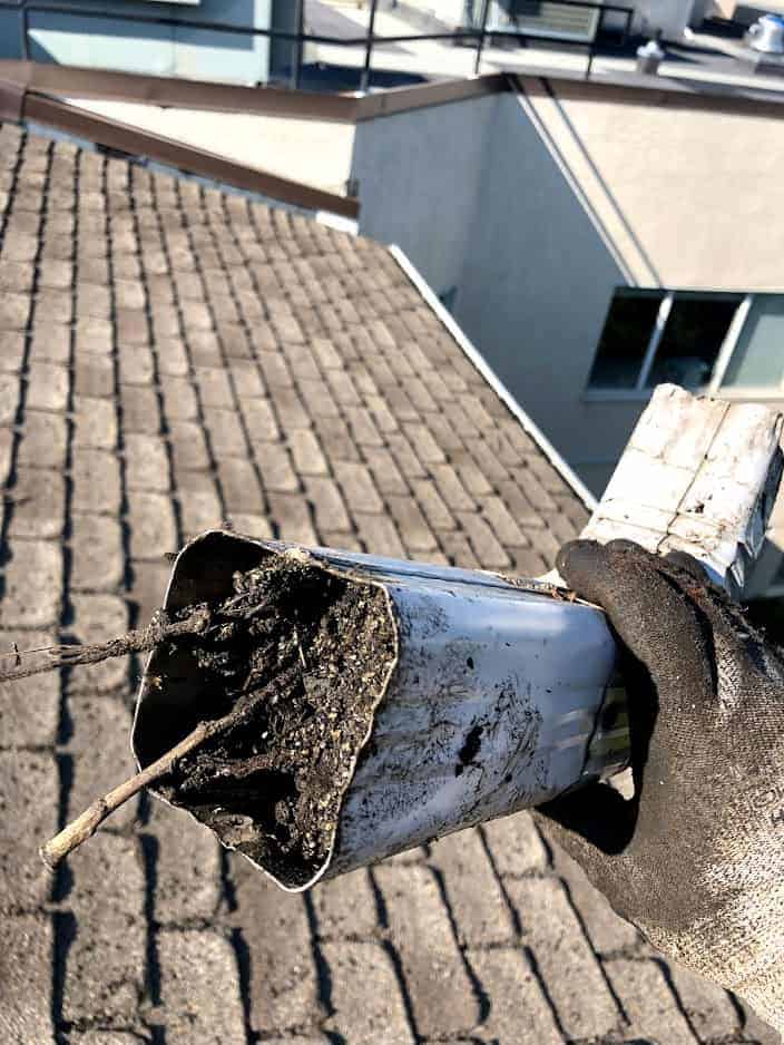 Roof in NE Calgary showing storm damage from a hail storm.